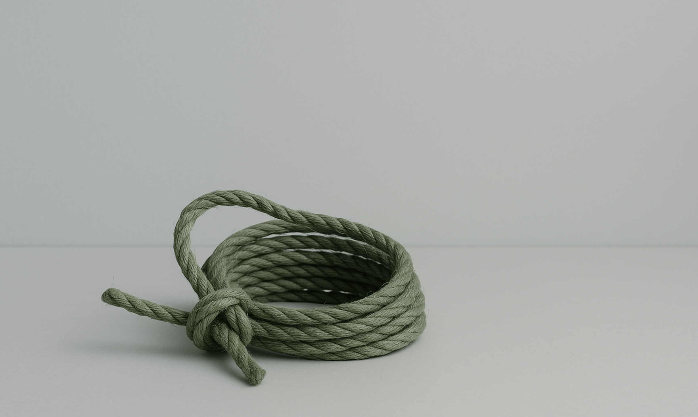 Mastering Plant Training With Expert Rope Guidance